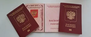 Что нужно знать перед оформлением заграничного паспорта: все тонкости и нюансы